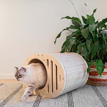 CAT BASKET IN BAMBOO TARA - Afbeelding 2